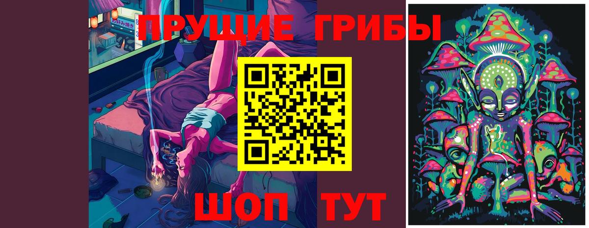 Псилоцибиновые грибы GOLDEN TEACHER  Вход с VPN  Дедовск  Псилоцибиновые грибы мицелий 
